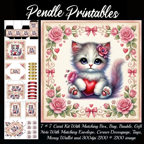 Valentines Cute Kitten 4