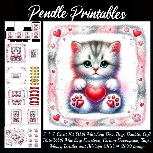 Valentines Cute Kitten 6