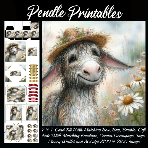 Donkeys Rain Hat 2