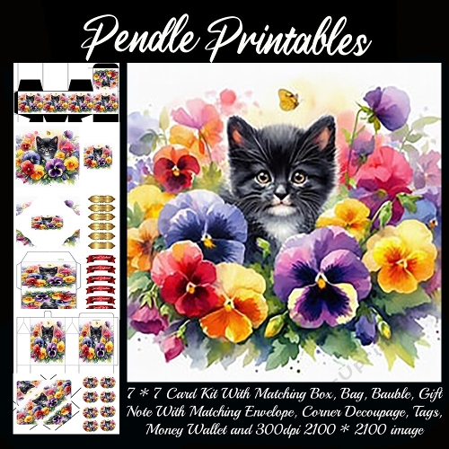 Kitten & Pansies
