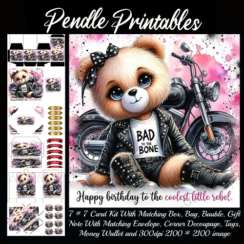 Happy Birthday to The Coolest Little Rocker. Gift bag, Money wallet, Tag, Bauble, Gift Card, Envelope. Large Image, Image without border.