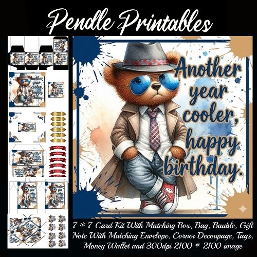 Another Year Cooler. Gift bag, Money wallet, Tag, Bauble, Gift Card, Envelope. Large Image, Image without border.