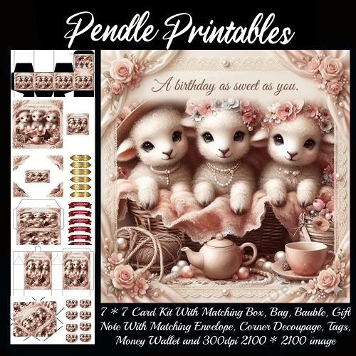 A birthday as sweet as you . Gift bag, Money wallet, Tag, Bauble, Gift Card, Envelope. Large Image, Image without border.