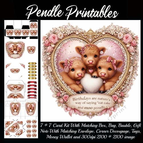 Birthdays are natures way of saying . Gift bag, Money wallet, Tag, Bauble, Gift Card, Envelope. Large Image, Image without border.