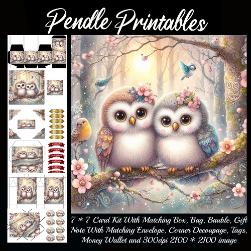 Cute Owls Gift bag, Money wallet, Tag, Bauble, Gift Card, Envelope.