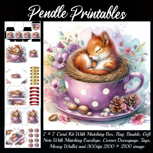 Cute Teacup Squirrel Gift bag, Money wallet, Tag, Bauble, Gift Card, Envelope.
