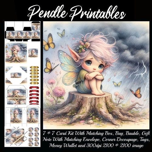 Pixie In A Storm