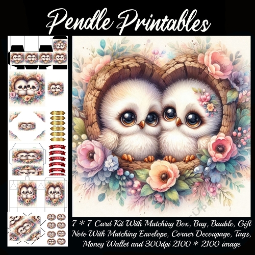 Cute Wooden Heart Owls