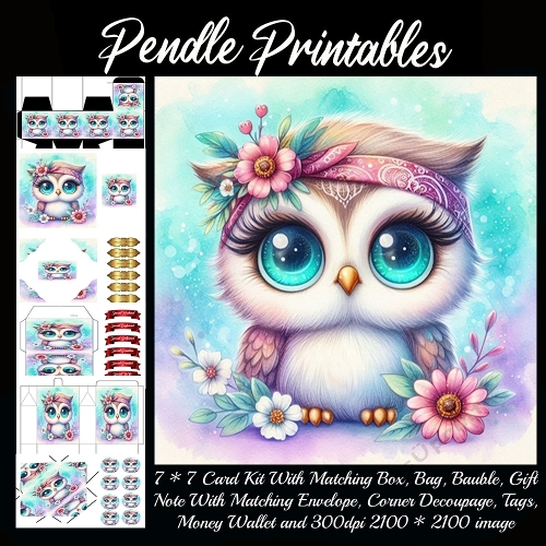 Hippie Chick Owl