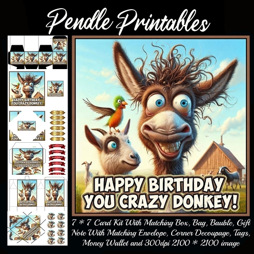 Happy birthday you crazy Donkey,  7*7 card 