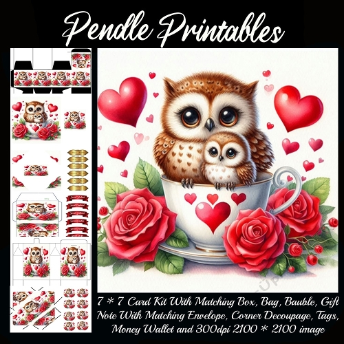 Mummy & Baby Owl Teacup Of Love