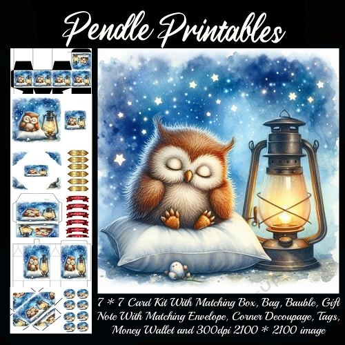 Sweet Dreams Owl 3