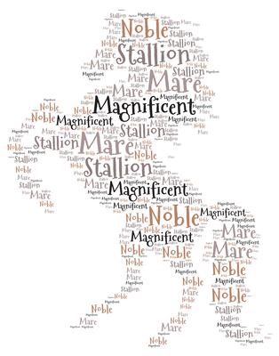 Stallion Word Art
