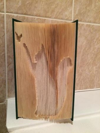Cut and Fold Book Folding Pattern of Cat