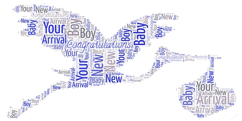 New Baby Boy Stork Carrying A Baby Word Art