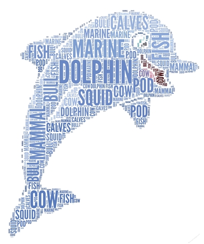Cute Dolphin Word Art