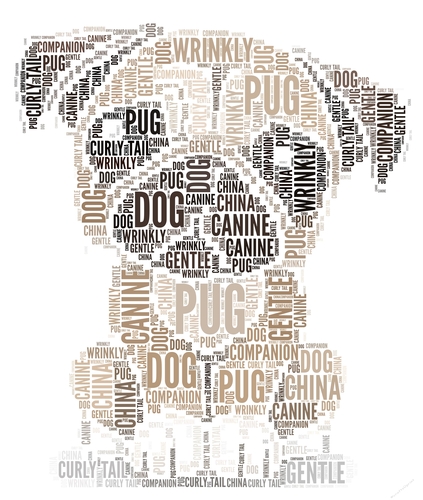 Pug Word Art