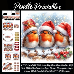 3 Cute Christmas Robins .9 Piece 7x7 Complete Kit