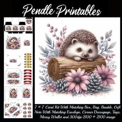 Cute Peeping Hedgehog. 9 Piece Card Kit.