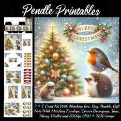 Merry Christmas Hedgehog & The Robin.  9 Piece 7x7 Complete Kit