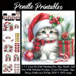 NEW STORY CARD. Fluffy kitten wears Santa hat beside festive Christmas presents decorations