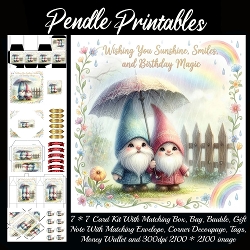 Wishing you sunshine smiles. Card, Giftbag, Money wallet, Tag, Bauble, Gift Card, Envelope. Large Image, Image without border.