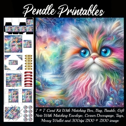 The Colourful Cat Gift bag, Money wallet, Tag, Bauble, Gift Card, Envelope.