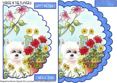 Yorkie in the Flowers