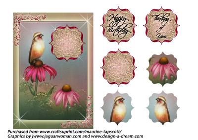 Coneflowers in the Mist 5x7