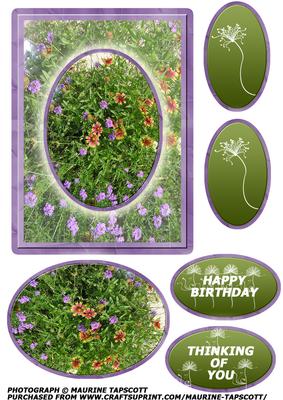 Wildflowers of Texas 5x7