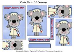 Koala Nurse 5x7 Pyramage