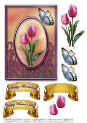 Cameo Tulips 5x7