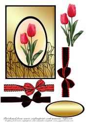 Red, Black and Gold Tulip Cameo 5x7