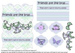 Friends Are Like Bras -