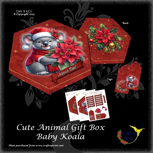 Cute Christmas Gift Box Baby Koala