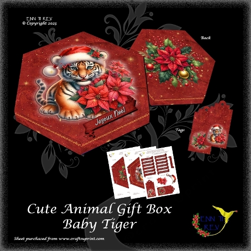 Cute Christmas Gift Box Baby Tiger