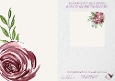 Soft Pink Rose