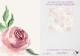 Blush Pink Rose