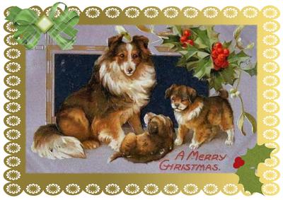 A4 Christmas Collie Dog Card