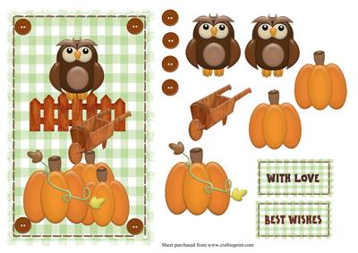 Autumn Owl and Pumpkins Card Front