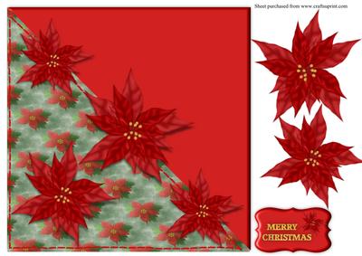Poinsettias Diagonal Over the Edge Caed