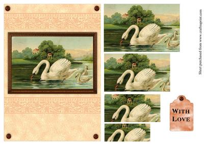 Vintage Swans Scene Card Front with Pyramage