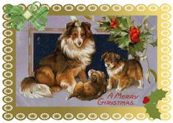 A4 Christmas Collie Dog Card