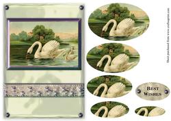 Vintage Swans Scene Card Front Glass Effect and Pyramage