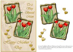 Tulips for Mother`s Day Quick Card
