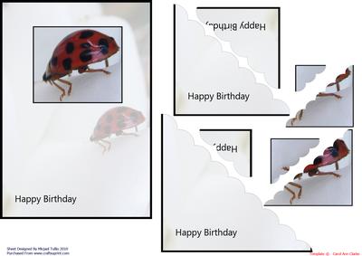The Beauty of Nature Corner Stacker Card