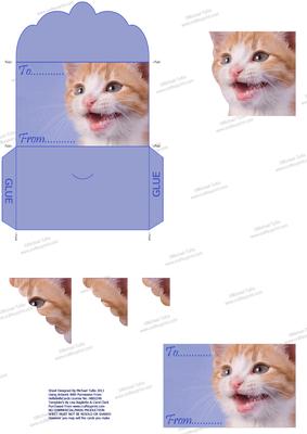Fred the Cat Mini Money Wallet