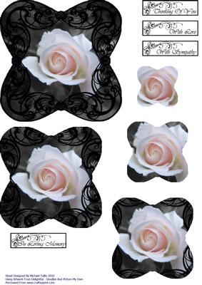 Black and White Sympathy Rose