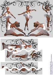 Swan Lake Ballet