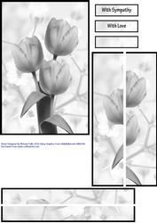 Black and White Tulips Condolence